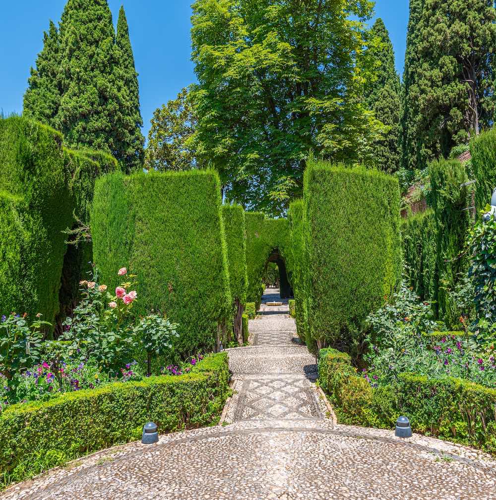 Jardines Nuevos 