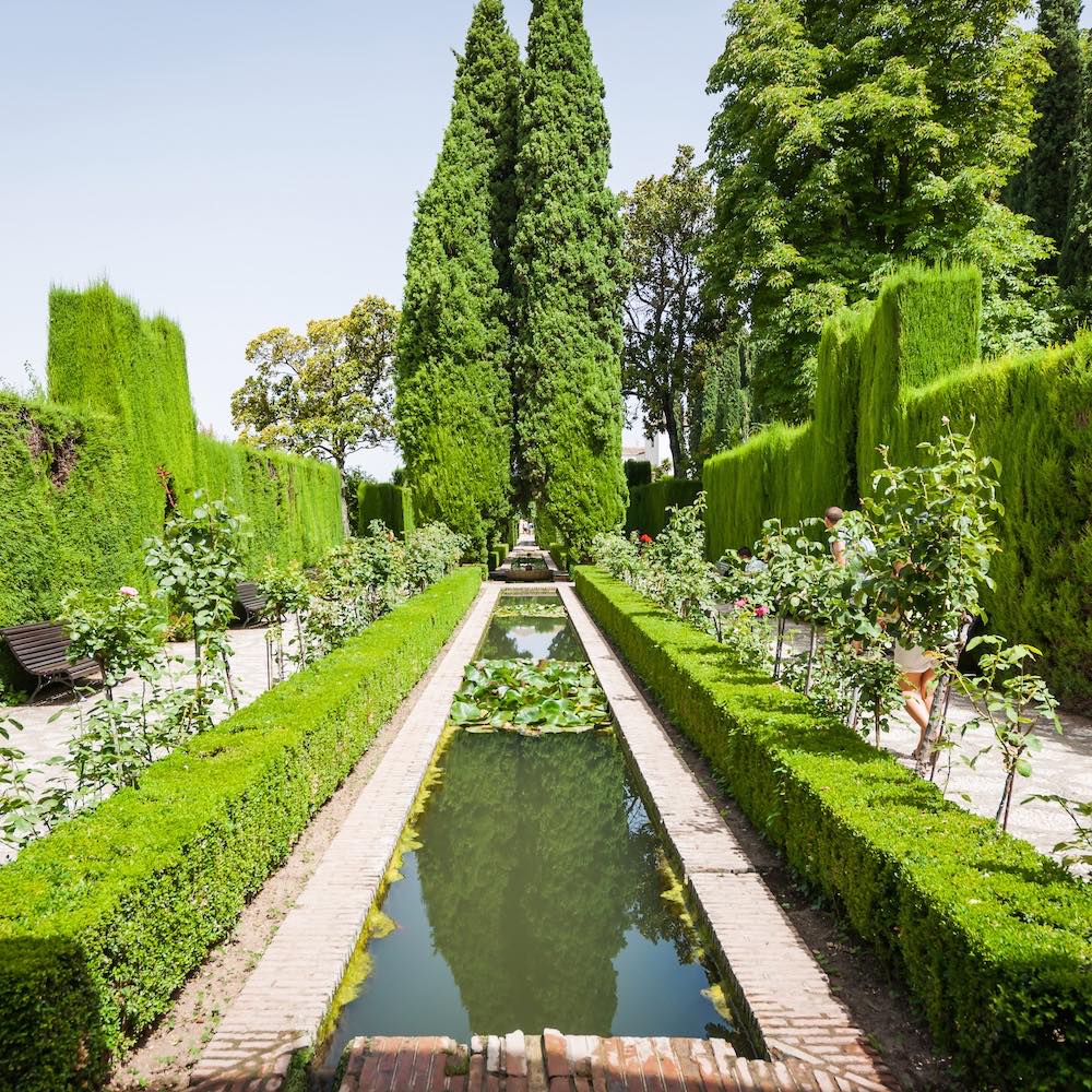 Jardines Nuevos 