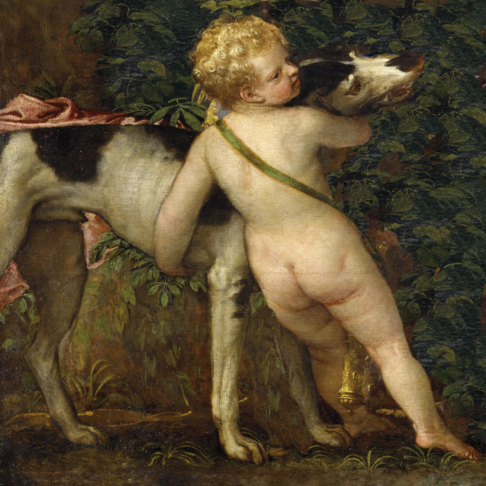 Venus y Adonis, de Paolo Cagliari, Veronés - Museo del Prado