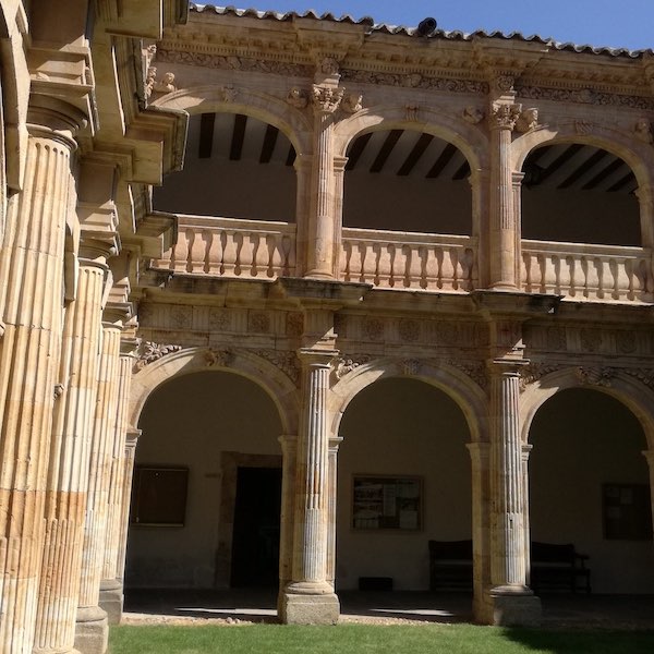 Palacio de Anaya. Colegio San Bartolomé